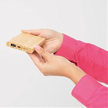 BAMBOO EVOLUTION powerbank