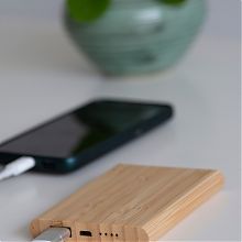 BAMBOO EVOLUTION powerbank